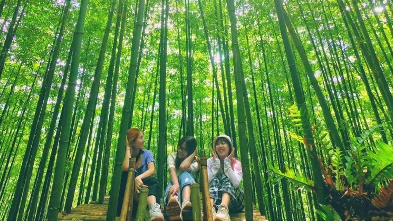 [3 Ngày 2 đêm] Tour ghép Hà Nội – Mù Căng Chải - Ngọc Chiến - Hà Nội