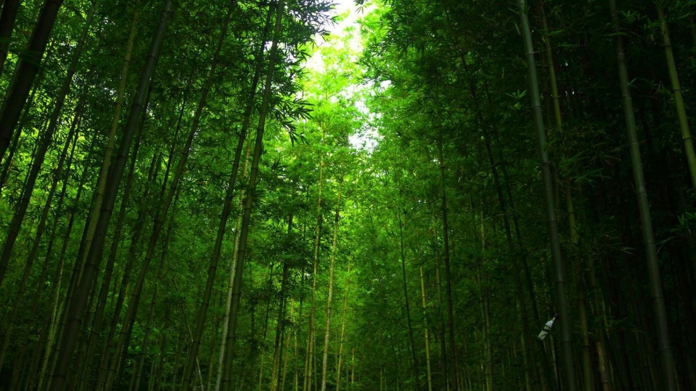 [3 Ngày 2 đêm] Tour ghép Hà Nội – Mù Căng Chải - Ngọc Chiến - Hà Nội