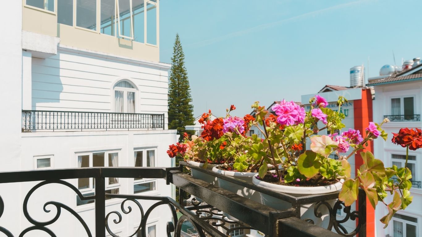3 Sao - Roy Dala Hotel