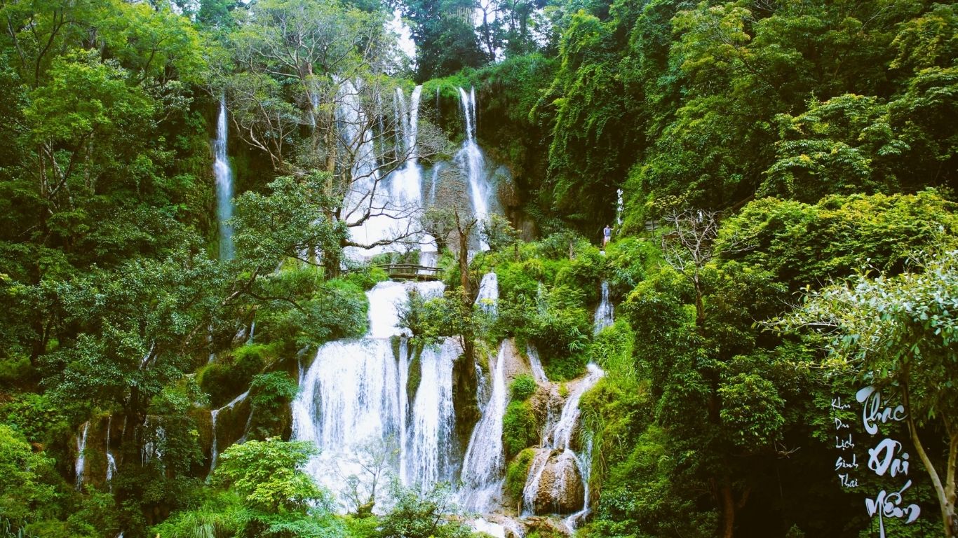 [2 Ngày 1 đêm] Tour ghép Hà Nội – Mộc Châu - Hà Nội