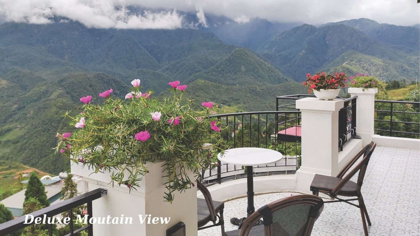 3 Sao - Cat Cat Galerie D'Art