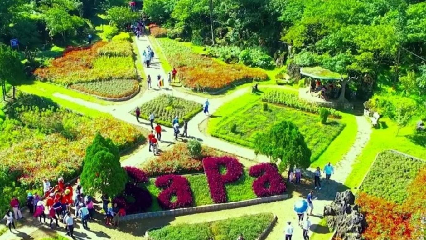 [2 Ngày 1 đêm] Tour ghép Hà Nội – Sapa – Bản Cát Cát – Hàm Rồng