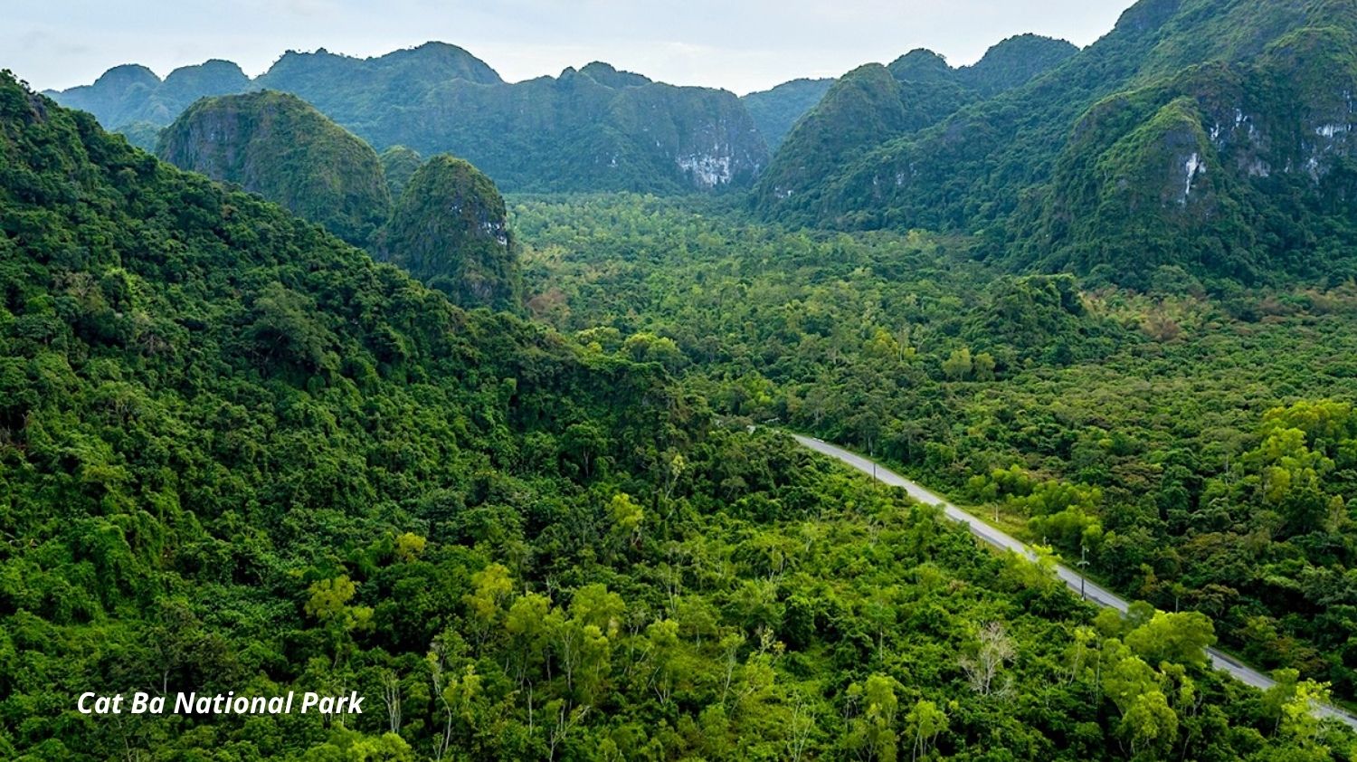 [2N1Đ] Du thuyền Ambassador Signature Cruise