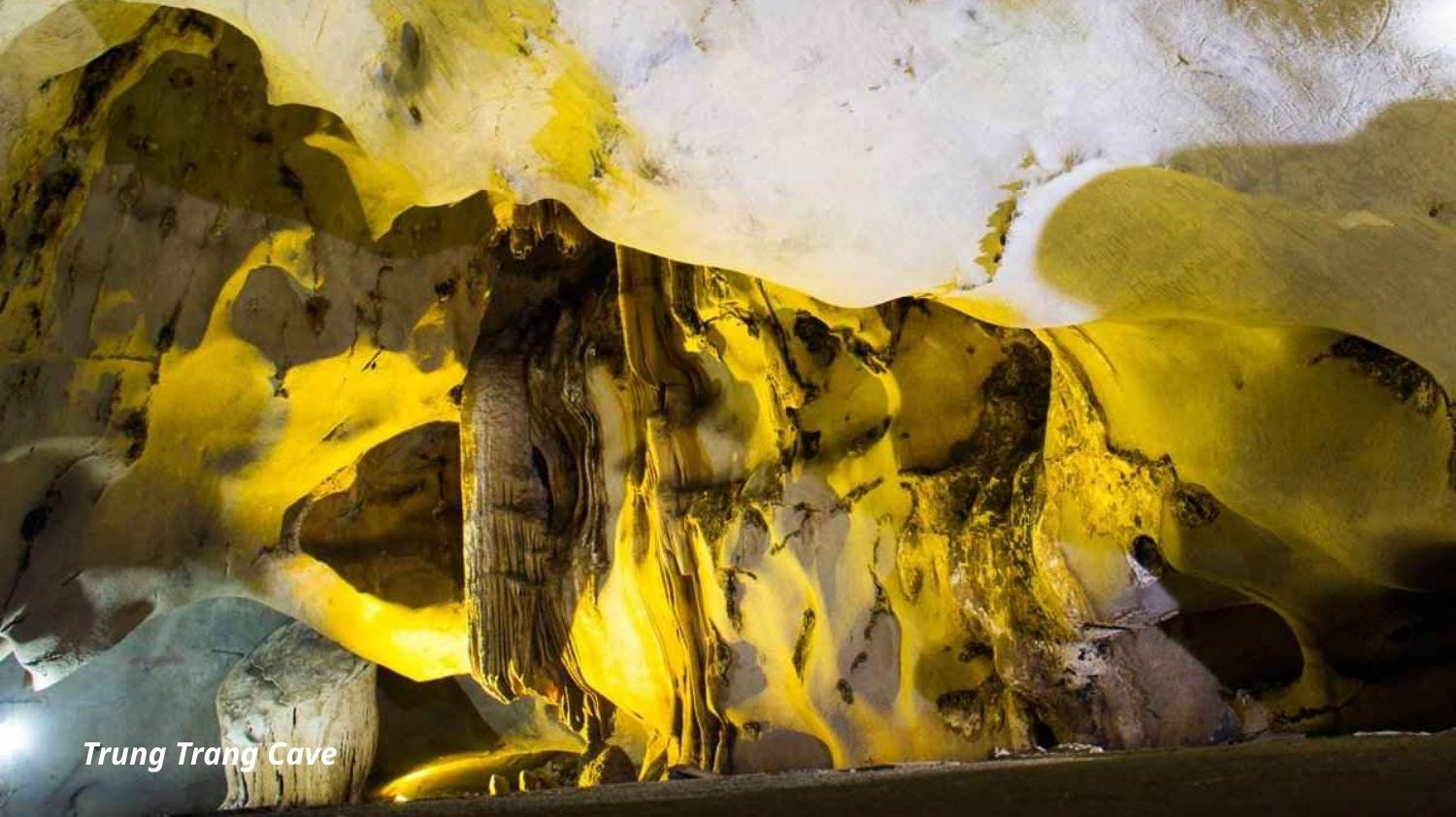 [2N1Đ] Du thuyền Ambassador Signature Cruise