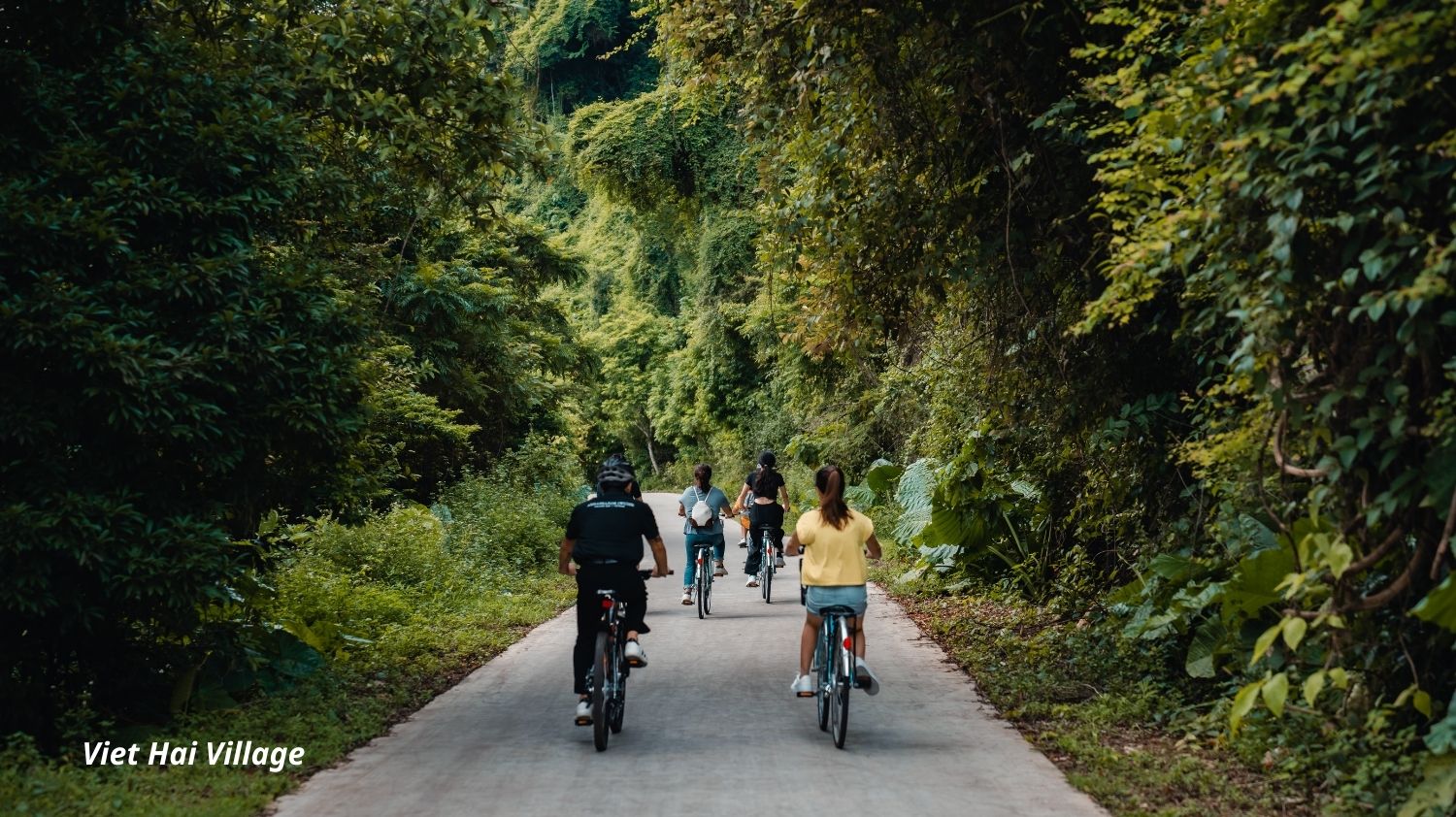 [Voucher 2N1Đ] Du thuyền Ambassador Signature Cruise