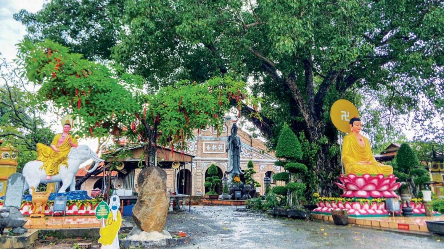 Tour Tây Ninh - Núi Bà Đen - Toà Thánh Cao Đài 1 Ngày