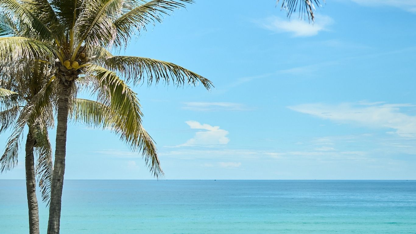 5 Sao - Fusion Resort Cam Ranh