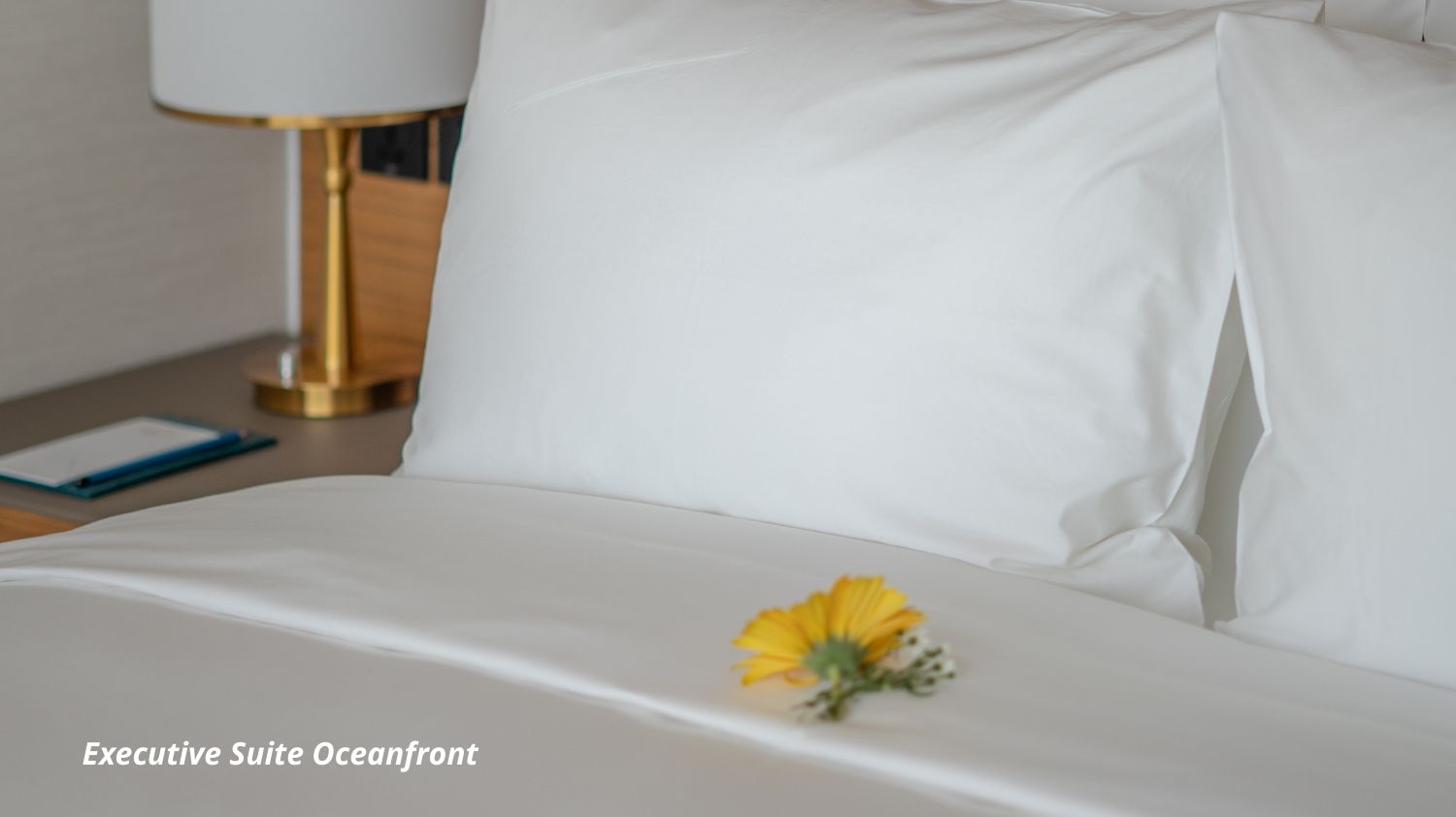 [ƯU ĐÃI] 5 Sao - Grand Hyams Hotel