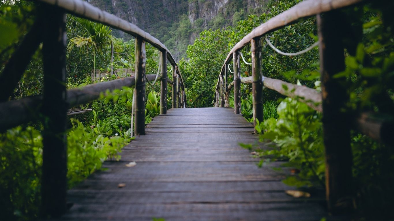 Halise Home and Retreat Ninh Bình