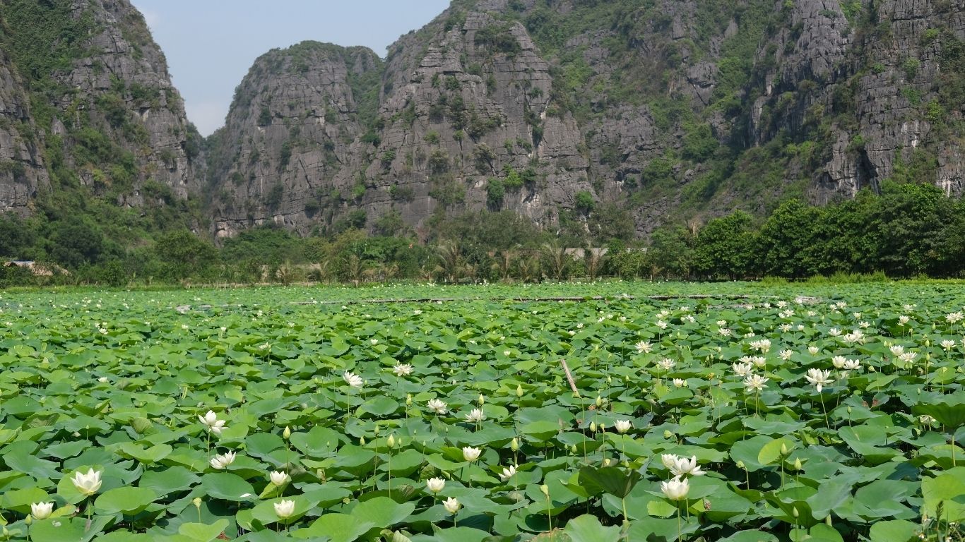 Halise Home and Retreat Ninh Bình