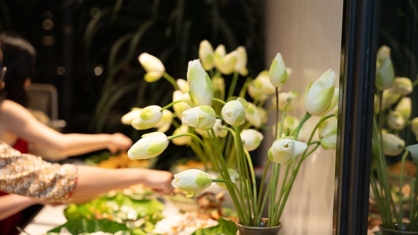 Halise Home and Retreat Ninh Bình