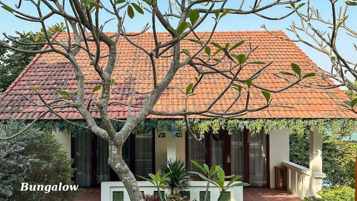 Senna Wellness Retreat