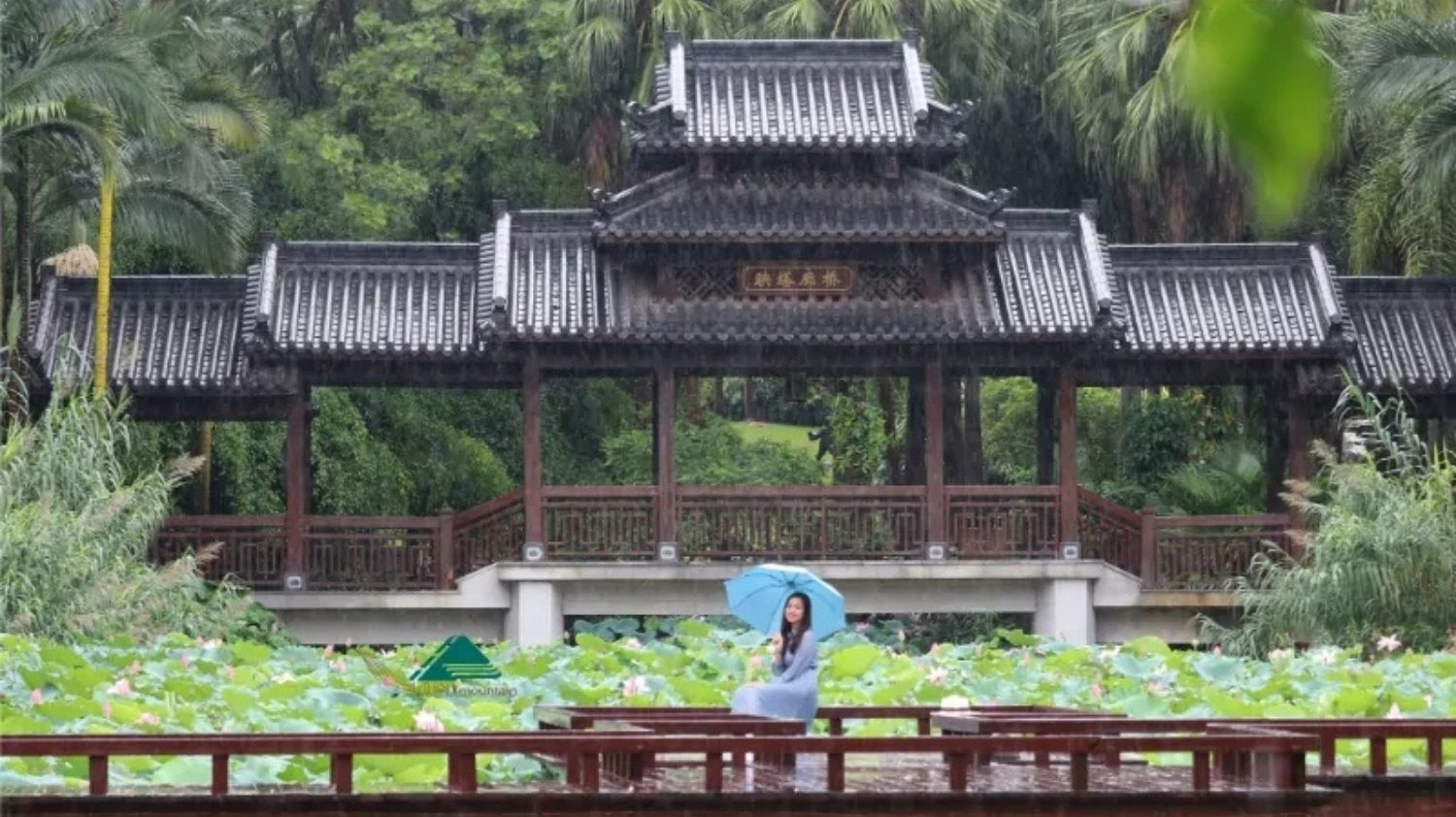 [3N2Đ] Tour ghép Hà Nội - Hữu Nghị Quan - Nam Ninh - Thanh Tú Sơn - Thái Bình Cổ Trấn - Tương Tư Cổ Trấn - Nam Ninh Chi Dạ