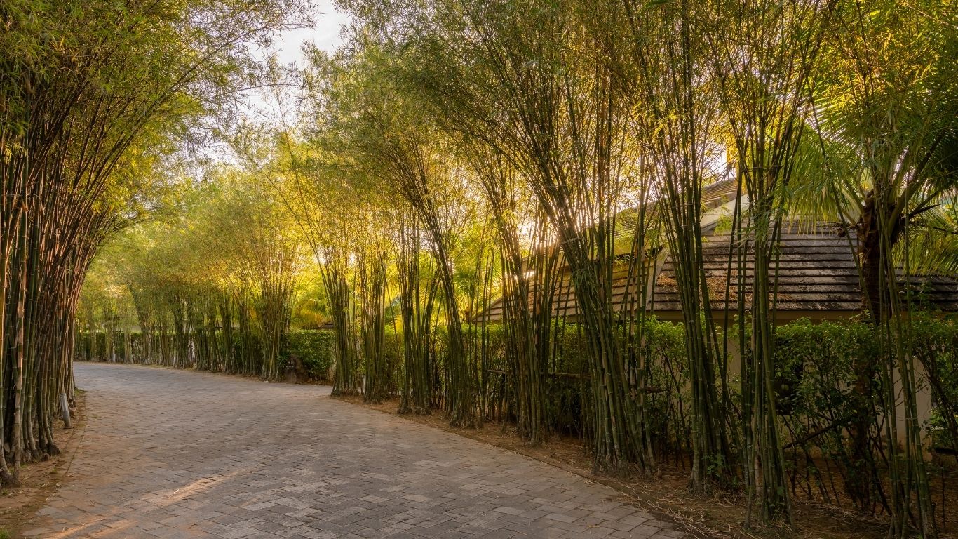 5 Sao - The Shells Resort & Spa Phu Quoc ***