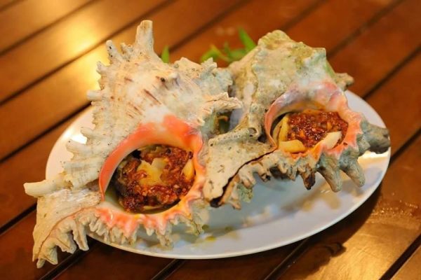 Ốc Gai Nấu Gì Ngon? Mách Bạn 07 Cách Chế Biến Ốc Gai Ăn Là Ghiền