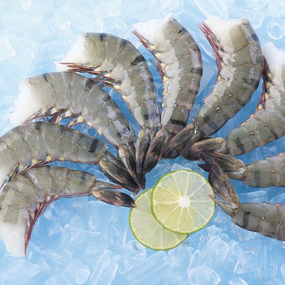 Raw Black tiger Shrimp HLSO