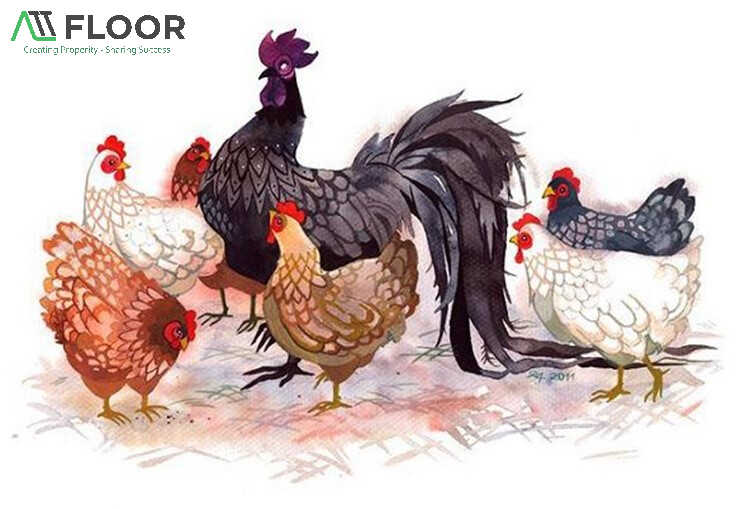 1981 rooster element