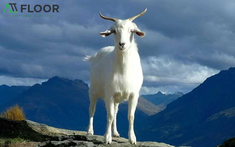 Year of the Goat 2026: Lucky colors