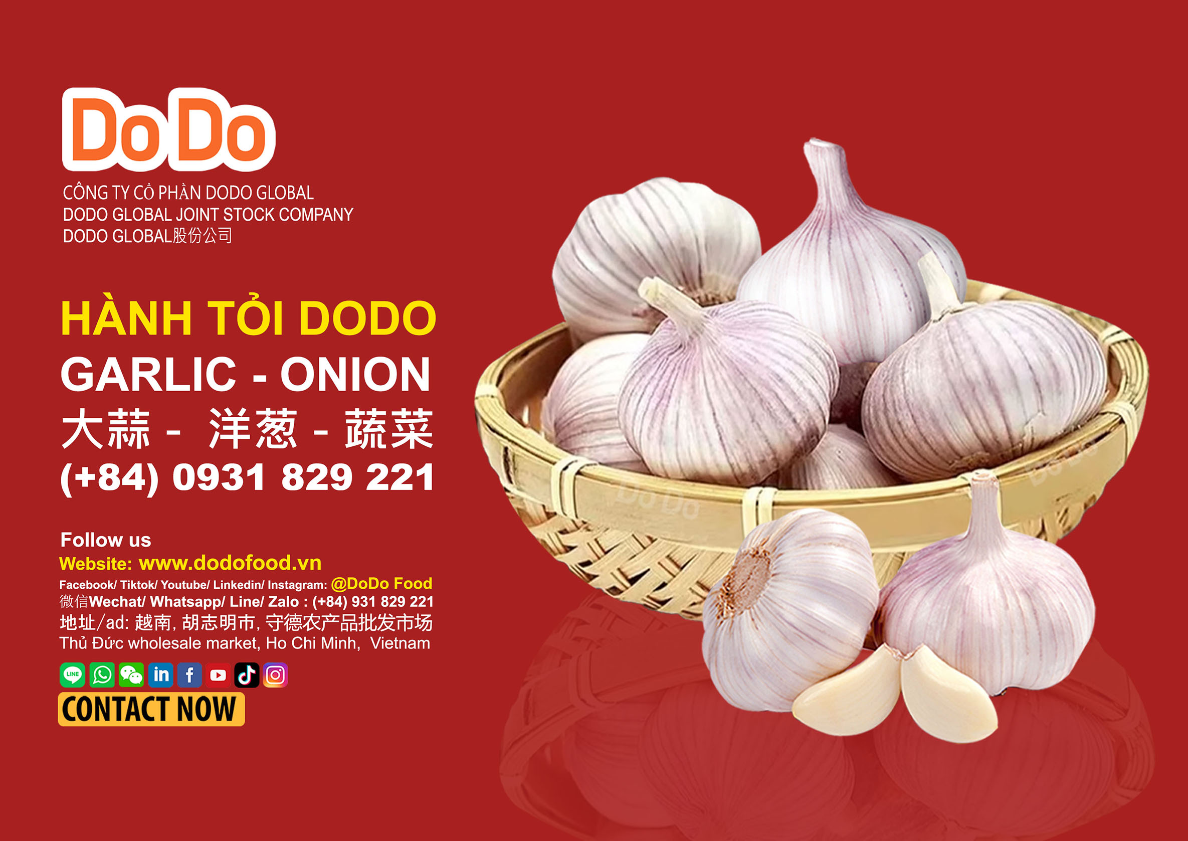 中国大蒜- Chinese Garlic | DODO FOOD