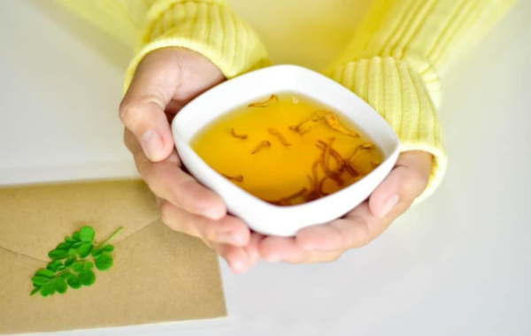 Trà đông trùng hạ thảo có tác dụng gì? 6 cách pha trà giữ trọn dưỡng chất