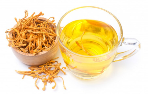 Uống đông trùng hạ thảo vào lúc nào tốt nhất?