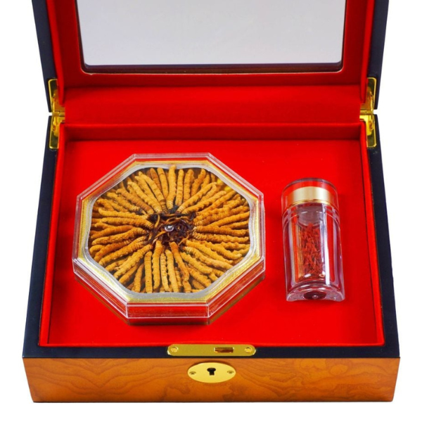 Đông Trùng Hạ Thảo Tây Tạng Vip - 22con/10g Hàng Tuyển Chọn