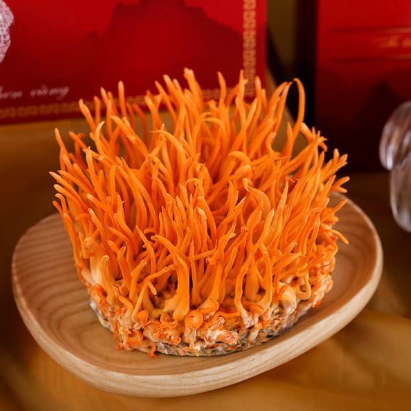 Đông Trùng Hạ Thảo Tươi Nguyên Chất