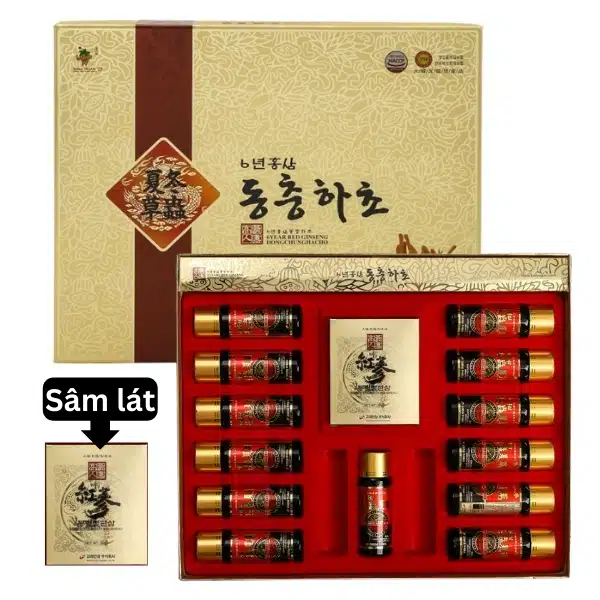 Nước Đông Trùng Hạ Thảo Hộp 15 Chai 50ml (Kèm Sâm Lát)