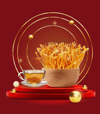 Các Hoạt Chất Của Đông Trùng Hạ Thảo