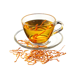 Đông trùng hạ thảo dạng trà