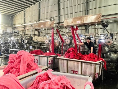 Giới thiệu tổng quan