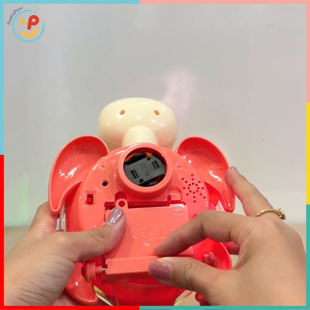 Đồ chơi rùa mẹ và rùa con trong suốt có đèn nhạc 8816 PeeKaPaw Toys