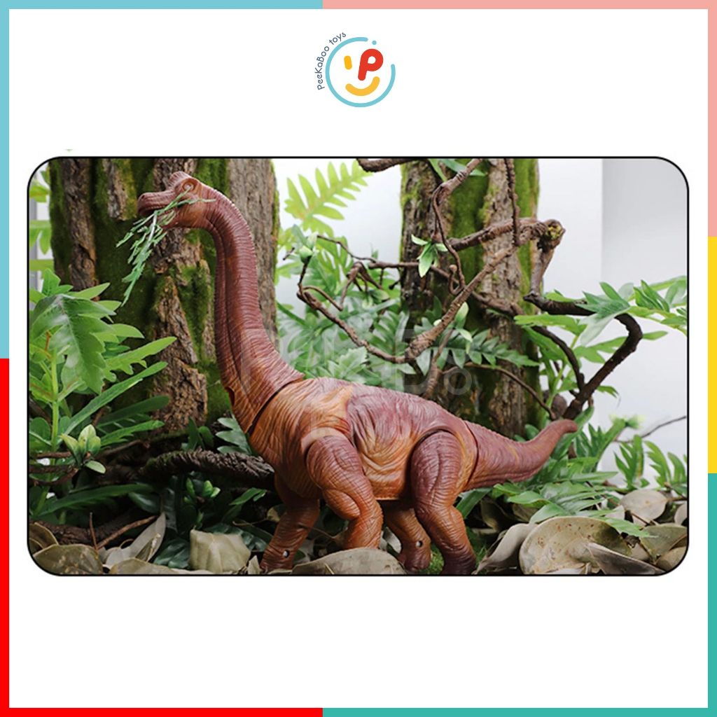 Đồ chơi Khủng long cổ dài ăn cỏ đẻ trứng CÓ ÂM THANH 6626 Rong Kai PeeKaPaw Toys