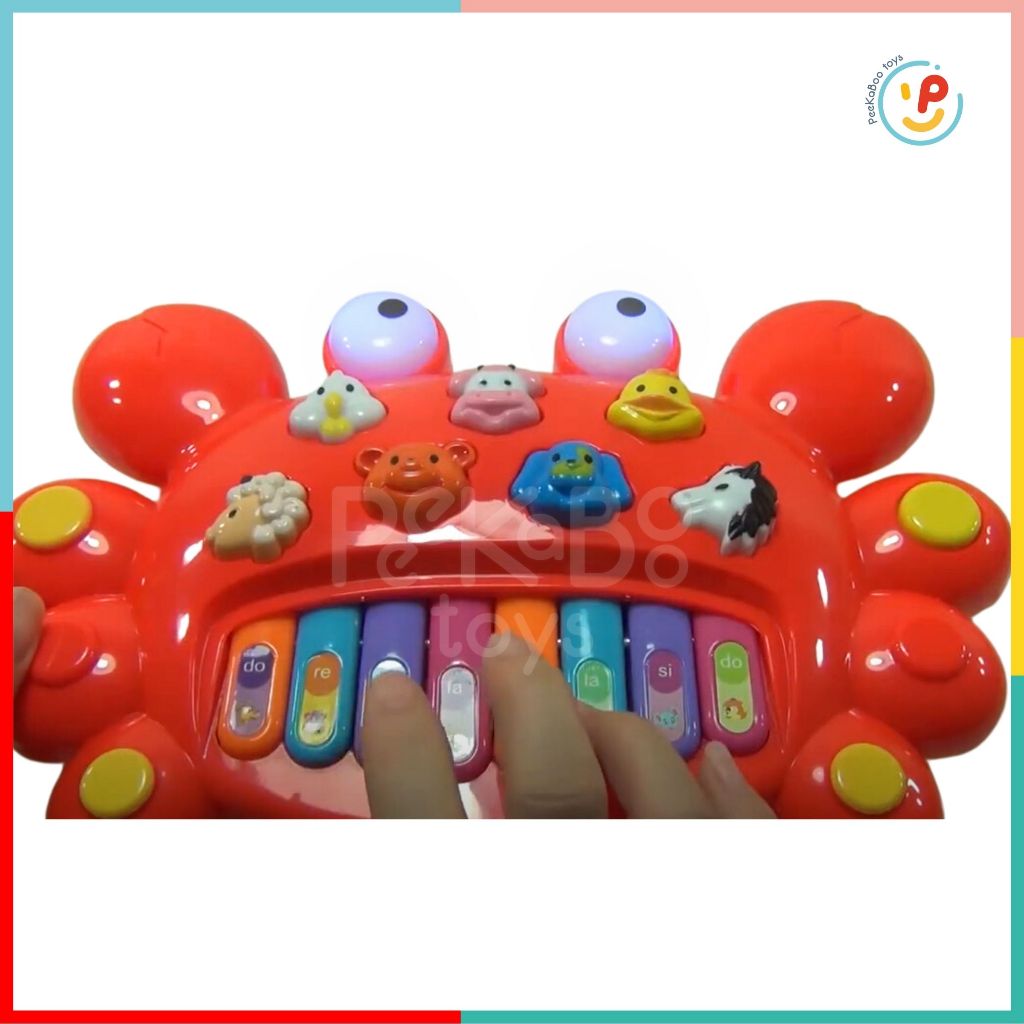 Đồ chơi đàn piano phát ra tiếng kêu của động vật có đèn hình bé cua 222 Peekapaw Toys