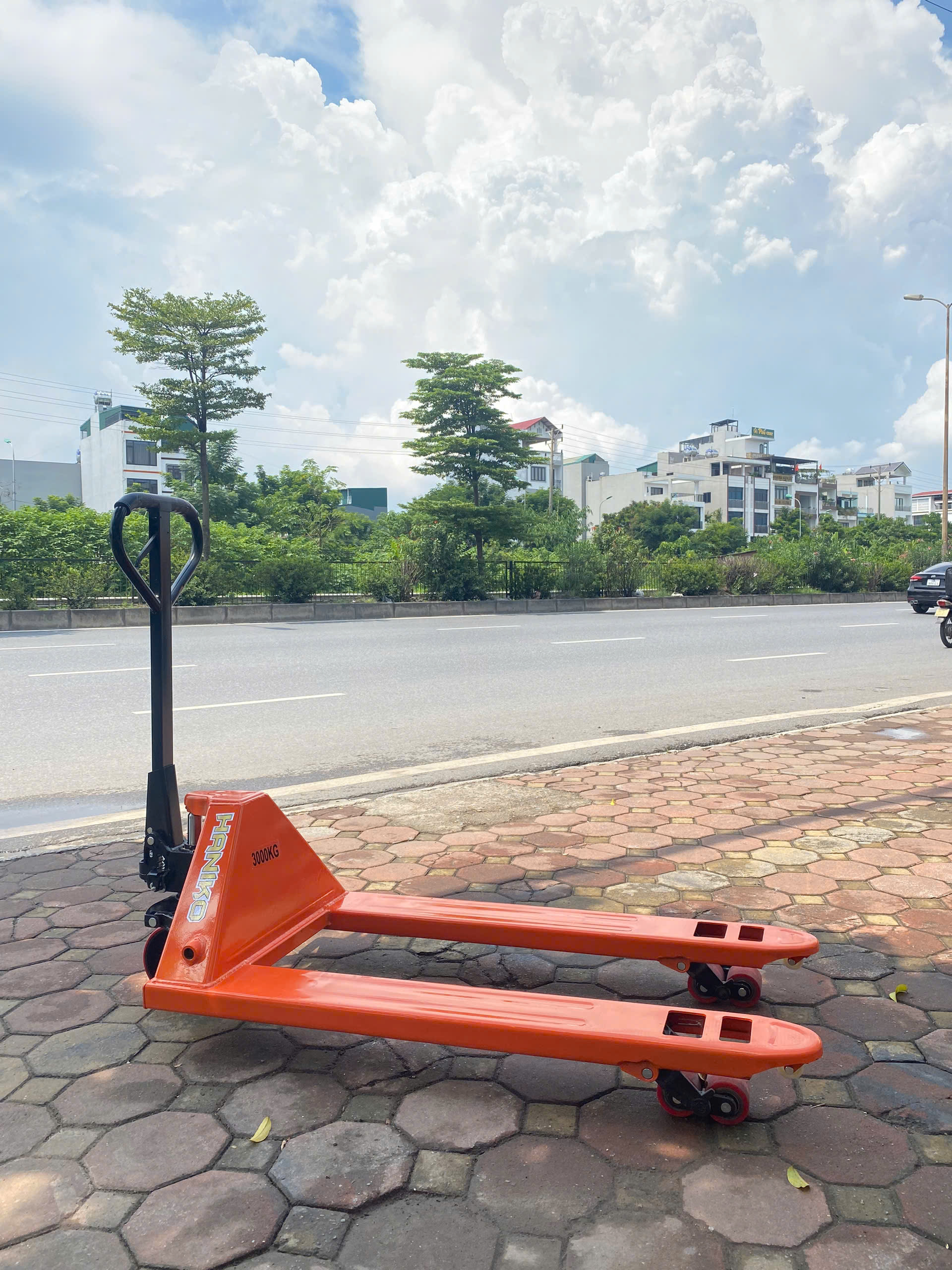 Xe nâng tay thấp 3000kg càng rộng 685x1220