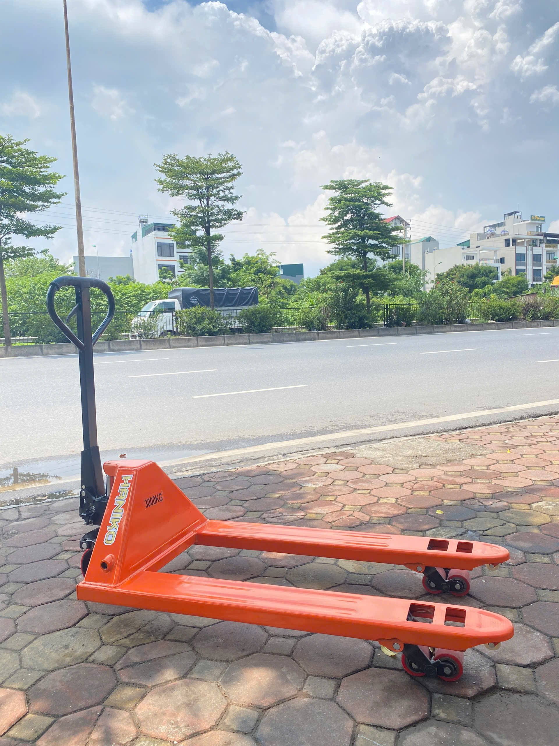 Xe nâng tay thấp 3000kg càng rộng 685x1220