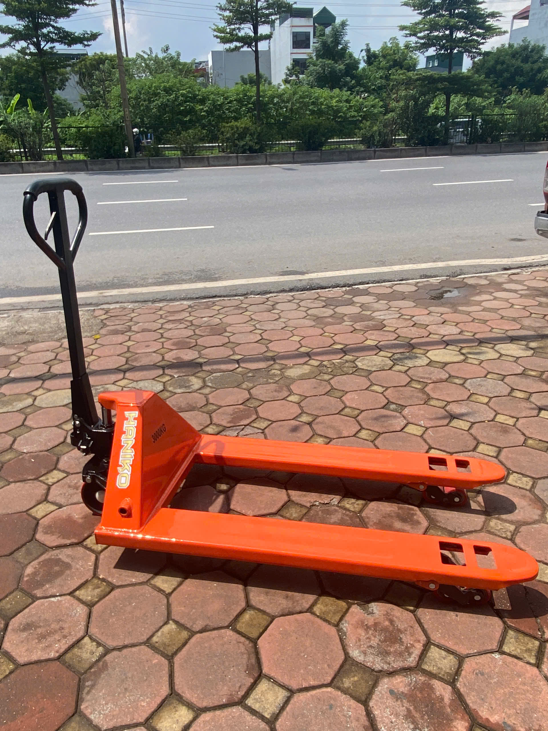 Xe nâng tay thấp 3000kg càng rộng 685x1220