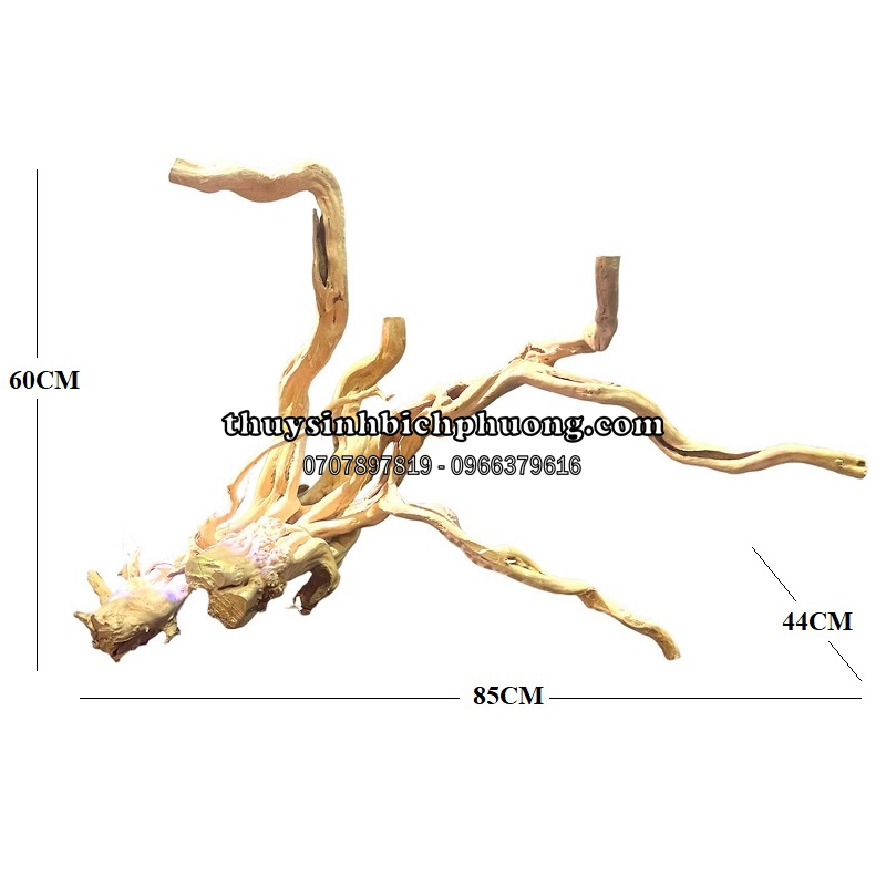 BP18 - BỘ LŨA GỖ ĐỖ QUYÊN NGUYÊN KHỐI