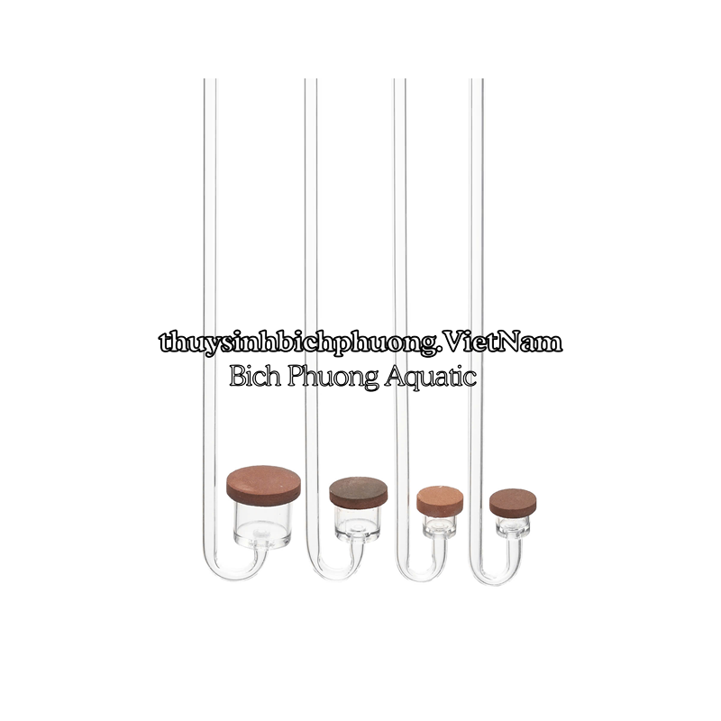 CỐC SỦI CO2 EBI - ĐẦU SỦI CO2 TÁN NHỎ KHÍ CO2