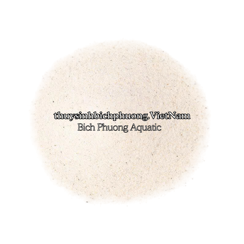 FINE WHITE SAND | CÁT TRẮNG MỊN TỰ NHIÊN