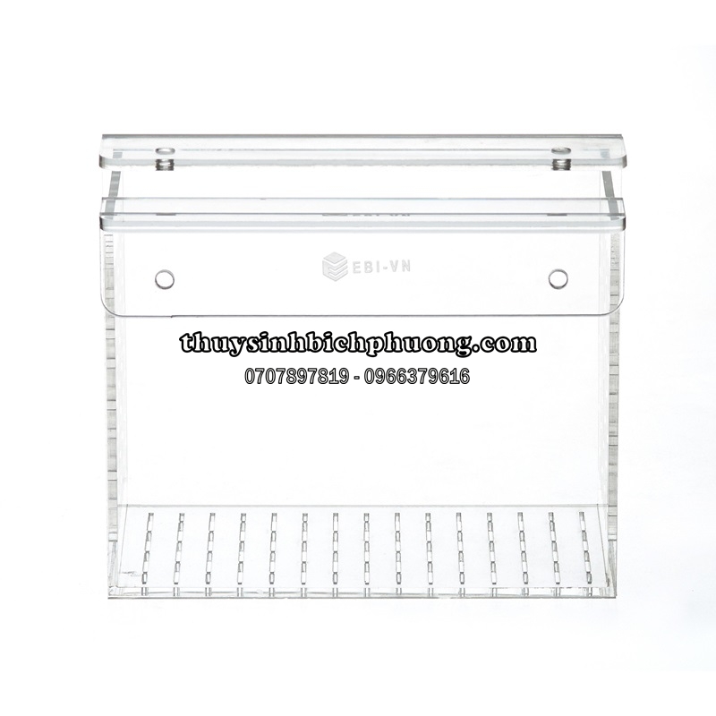 BOX ACRYLIC DƯỠNG | SHOW CÁ TÉP (BOX16)