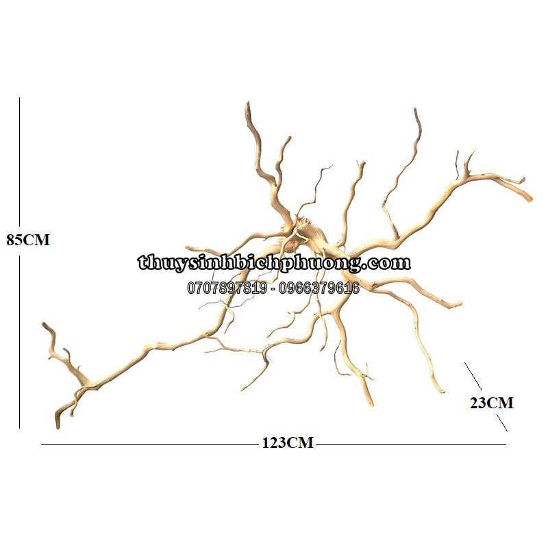 BP7 - BỘ LŨA GỖ ĐỖ QUYÊN NGUYÊN KHỐI