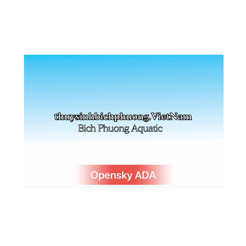 DECAL OPEN SKY BLUE STYLE ADA