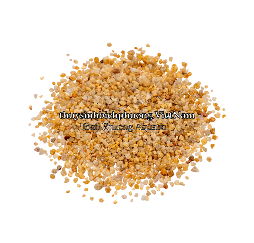 GOLDEN SHIMMER PEBBLE | SỎI NẮNG VÀNG KIM SA