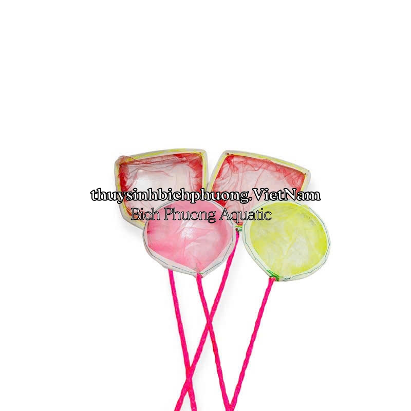 VỢT LƯỚI MỊN MINI DIY – VỢT VỚT CÁ CON, BOBO, ARTEMIA