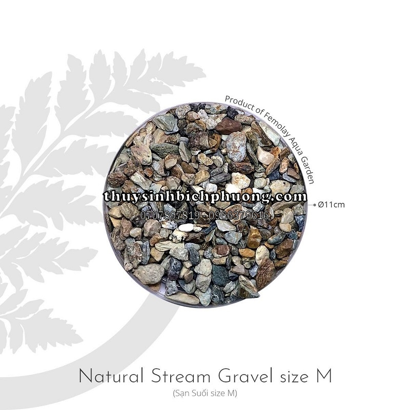 FEMOLAY NATURAL STREAM GRAVEL SIZE M - SẠN SUỐI TỰ NHIÊN
