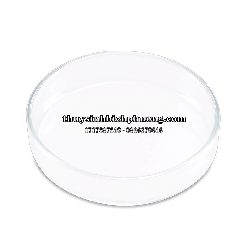 CHÉN THỦY TINH ĐỰNG THỨC ĂN TÉP