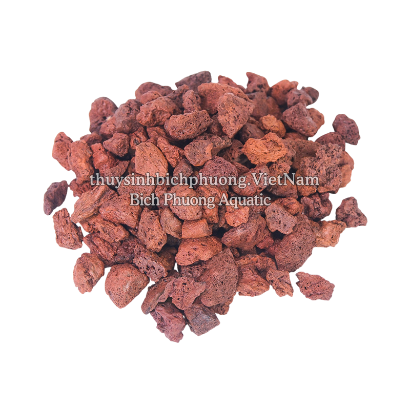 ĐÁ NHAM THẠCH ĐỎ | RED LAVA ROCK - VẬT LIỆU LỌC, TRANG TRÍ, SETUP