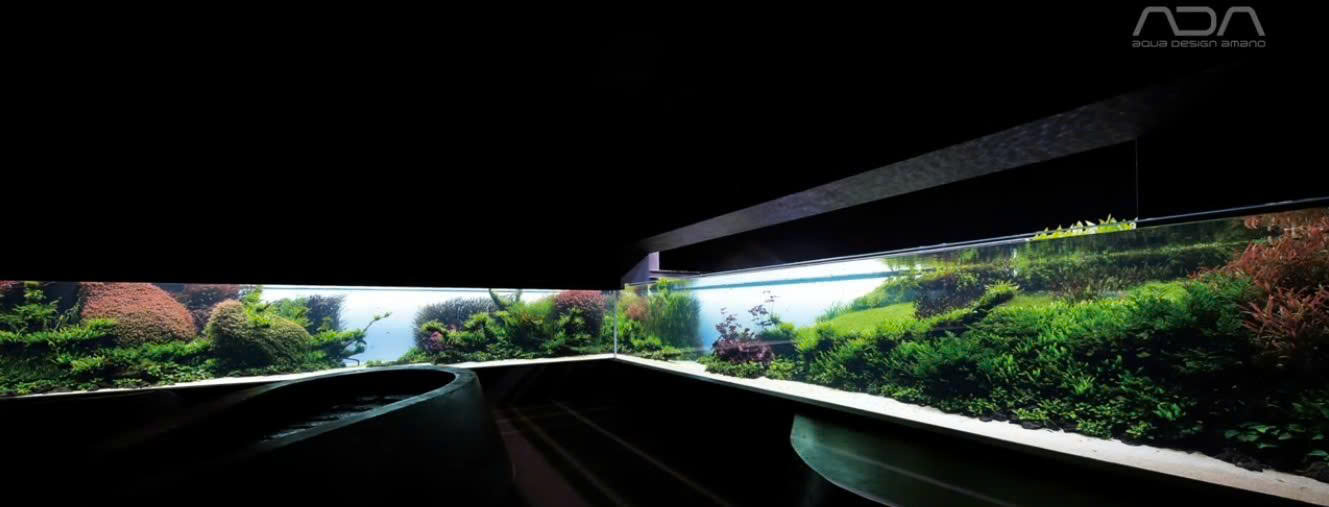 HOT SALE - Sập Sàn