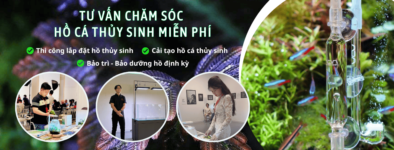 Cuối tuần XẢ VÍ
